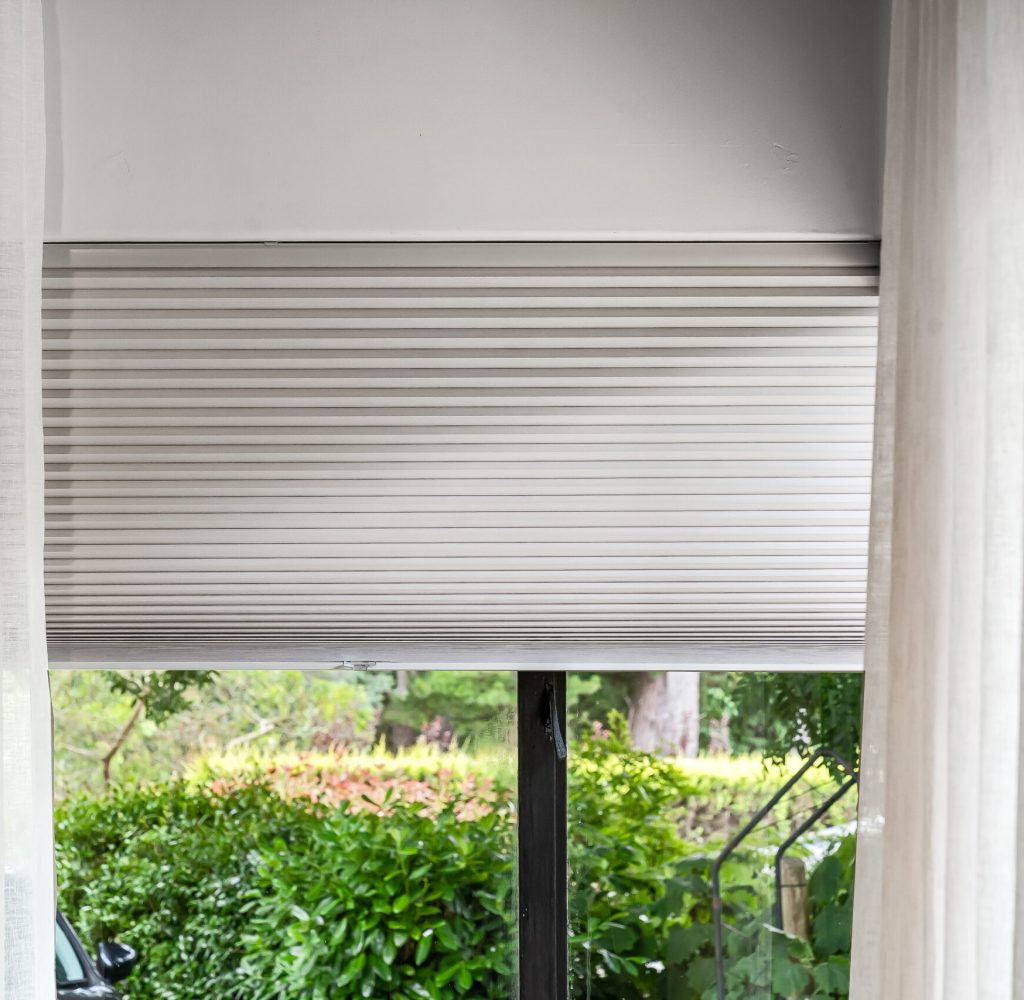 SSS - November (42) (1)